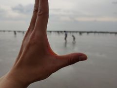 -奉贤海滩