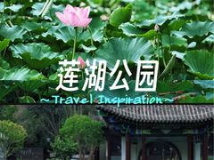 -莲湖公园