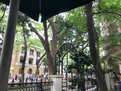 -星巴克臻选(广州沙面店)