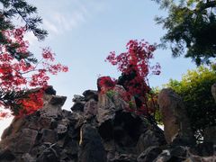 -个园