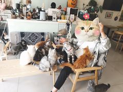 -平行世界·猫咖(首经贸店)