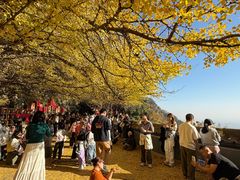 -大慈岩风景区