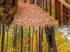 -叠溪松坪沟景区