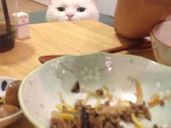 -豪客来牛排(华创国际广场店)