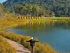 -广州市石门国家森林公园