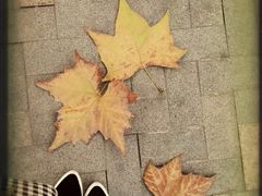 -重庆市江北嘴中央商务区中央公园