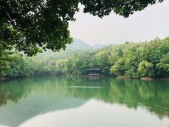 -杭州半山国家森林公园