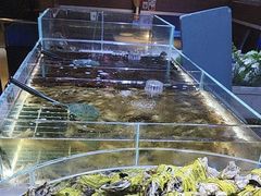 -聚盛源蒸汽海鲜火锅烤肉自助(巨川金海岸购物广场店)