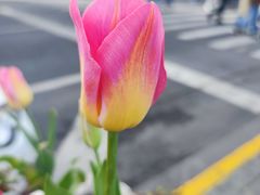 -外滩