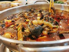 -黑竹香鸡(营和巷店)