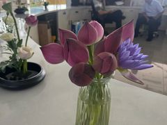 -荷花荡