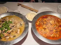 -美蛙四季(望京凯德茂店)