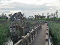 -漩门湾国家湿地公园