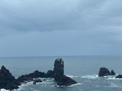 -涉地可支