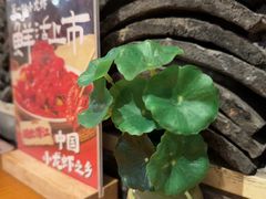 -莲餐厅·湖北菜·潜江小龙虾店(愚园路店)