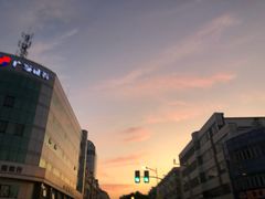 -上海市东方医院(总院)