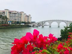 -万绿园
