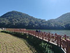 -广州市石门国家森林公园