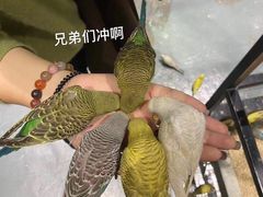 -zoonana室内动物园(东方福来德店)