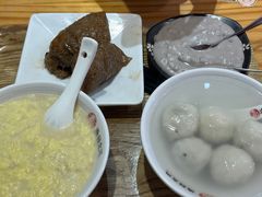 -海丝金凤(金鱼店)