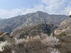 -北京凤凰岭