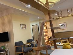 -滚猫咖啡·猫咖·猫友好撸猫(未来城店)