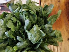 -十六蒲(桂林路店)