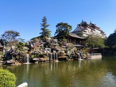-顺峰山公园