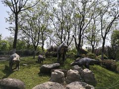 -上海海湾国家森林公园