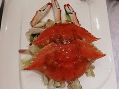 -宝燕壹号(徐汇店)