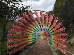 -广州白江湖森林公园