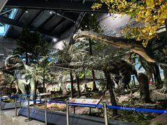 -湖南省地质博物馆