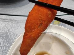 -丁老爷子苏香圆