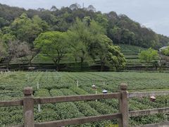 -欣怡茶庄·始于1999(梅家坞店)