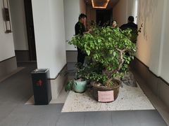 -梅花香里大酒店(郁金香路店)