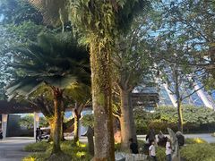 -滨海湾金沙购物商场