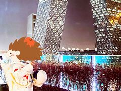 -中央广播电视总台(光华路办公区)