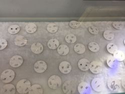 -AI艾耳·专业手工耳洞·穿孔美学馆