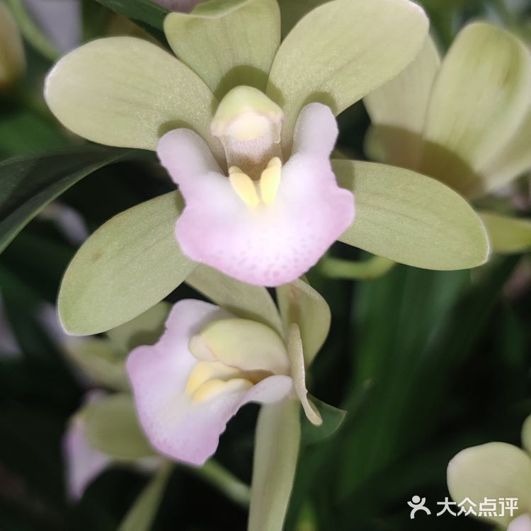 每个月的最后1小时