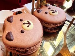 -Salon de Ville浦江汇(上海外滩华尔道夫酒店店)