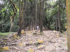 -火炉山森林公园