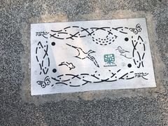 -福田红树林生态公园