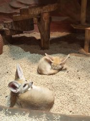 -Zoolung Zoolung动物主题公园(海信广场店)