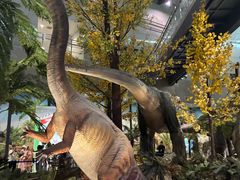 -湖南省地质博物馆