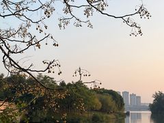 -眉山湿地公园(东坡区)