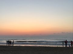 -日照海滨国家森林公园
