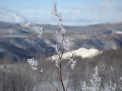 -太子岭滑雪场