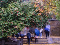 -青岛崂山太清宫
