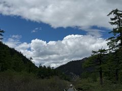 -稻城亚丁景区-冲古草甸