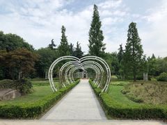 -昆山城市生态森林公园